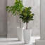 Pot à fleurs rond avec plateau Nova l 12 po-777671179-777671223-671843974