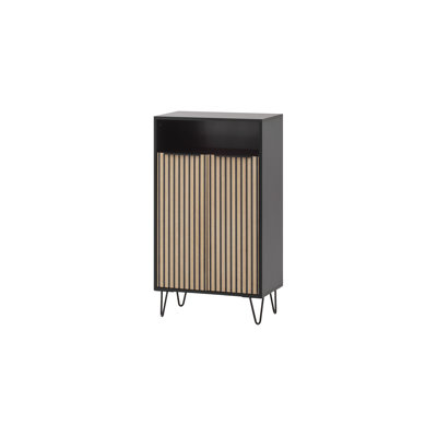 Ageliki 10 Pair Shoe Storage Cabinet