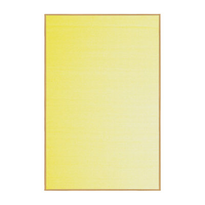 Performance Ombre Indoor Rug