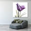 X-ray royal mauve tulipe-1483918149