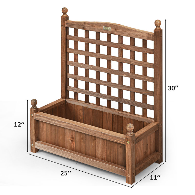 Jardinière surélevée avec treillis Bragg, H 30 po x l 11 po x P 25 po, 2