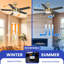 Latrisha 52'' Ceiling Fan with LED Lights