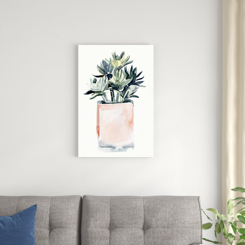 Plante grasse en pot IV, H 30 po x l 20 po