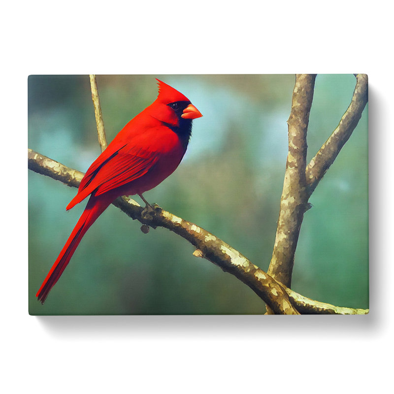 Cardinal Bird Vol.11 - Wrapped Canvas, 50cm H x 76cm W x 3cm D