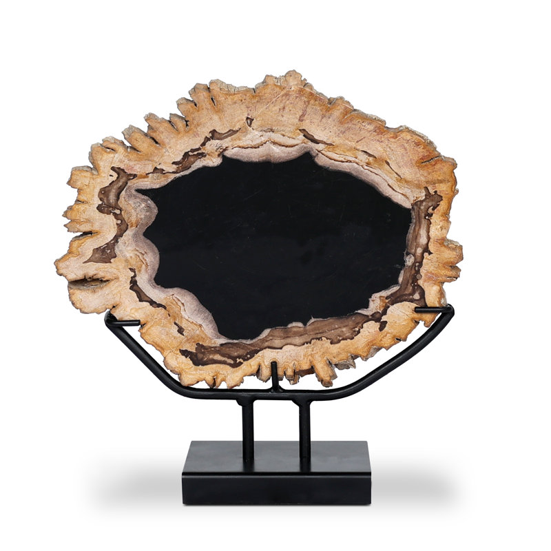 Petrified Decorative Object