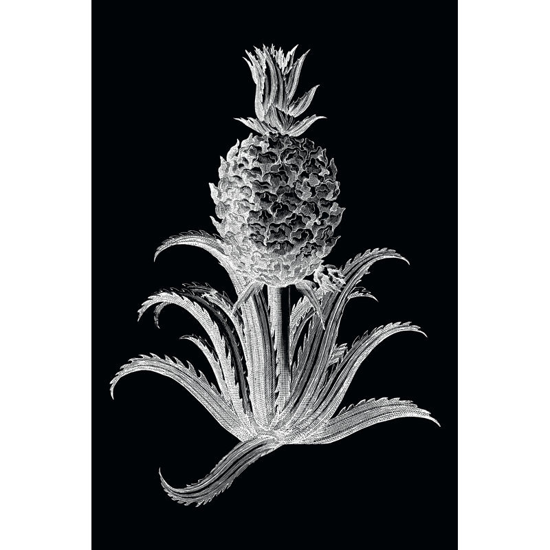 Pineapple Noir II by Vision Studio - Wrapped Canvas Art Prints, 76cm H x 51cm W