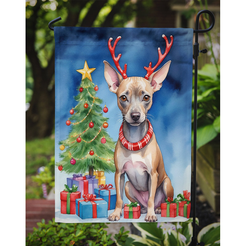 Drapeau de Noël renne de jardin, Terrier américain sans poil