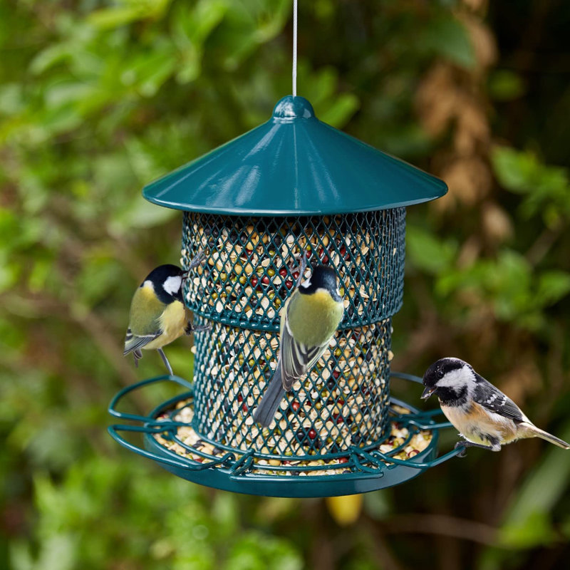 Argene Metal Hanging Hopper Bird Feeder
