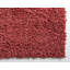 Carlosadrian Oriental Indoor Rug-1183897715