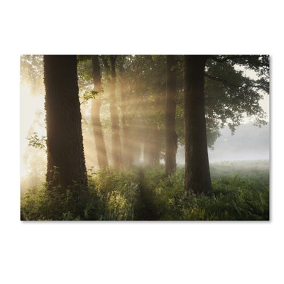 « first day of summer », reproduction de photo sur toile tendue