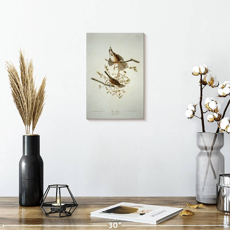 Bruant chanteur des oiseaux d'Amérique, H 12 po x l 8 po