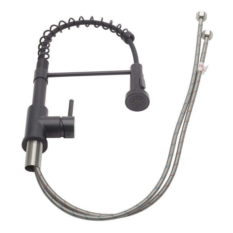Belfry Kitchen Ailsa Kitchen Faucet, Matte Black