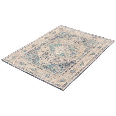 Oriental Indoor Rug