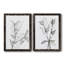 CHARCOAL FOLIAGE I - impression 2 pièces-103841429-103841430