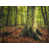 Wrapped Canvas is unavailable