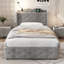 Dannay Upholstered Storage Bed-376415281