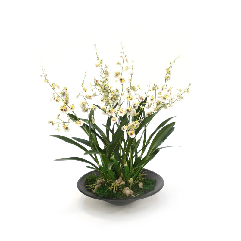 Polysilk Orchid Arrangement in Planter