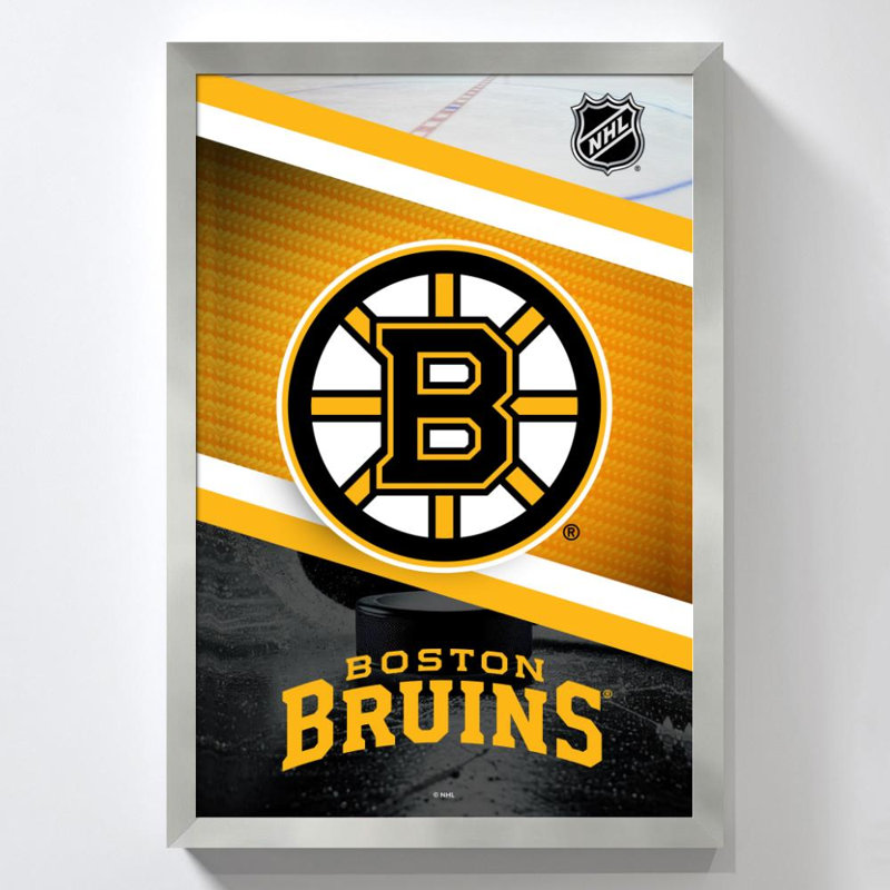 Boston Bruins NHL, art mural, H 48 po x l 32 po, Framed Acrylic, Silver