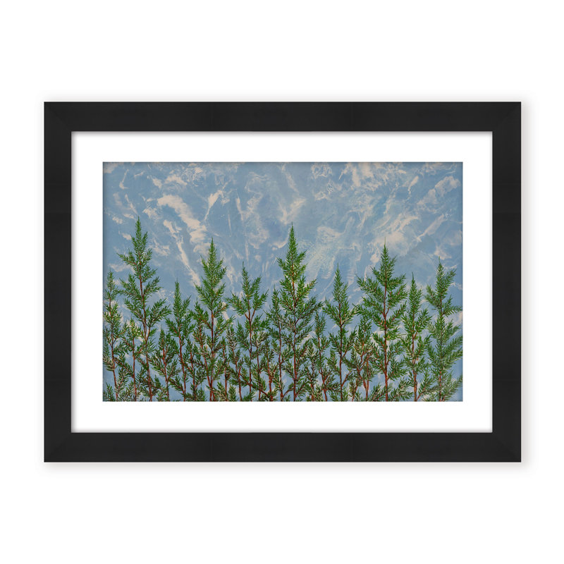 Nature Inspired "Reaching for the Sky" Canvas Wall Art By , 30" H x 40" W, Framed Matted Print, Gold