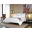 Lineare Sham-81131402-81131401