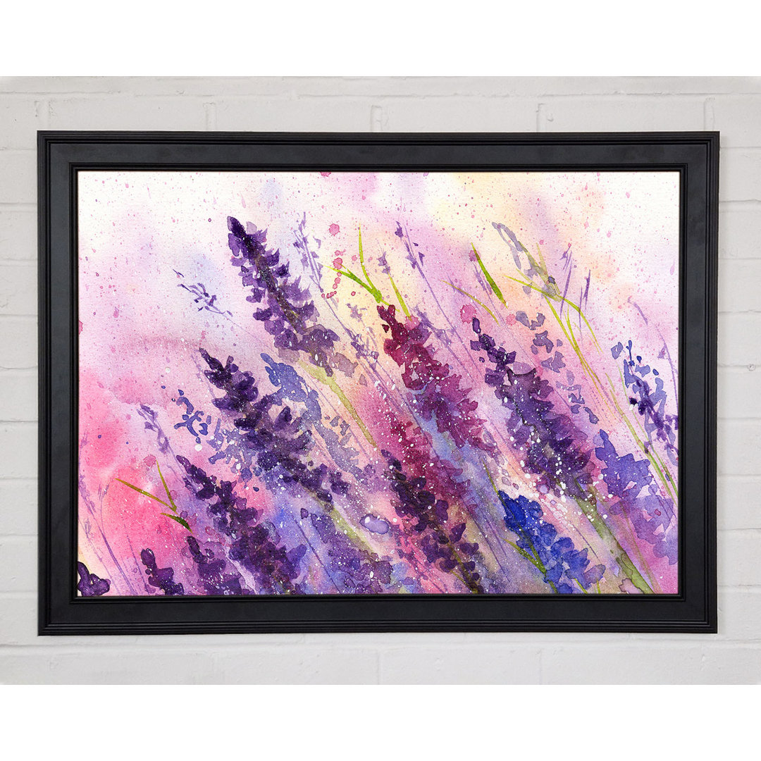 Gerahmtes Leinwandbild Lavender Colour Splash