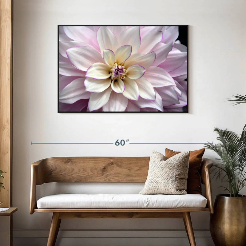 Dahlia blanc et mauve, Cadre flottant noir, 43 po x 29 po