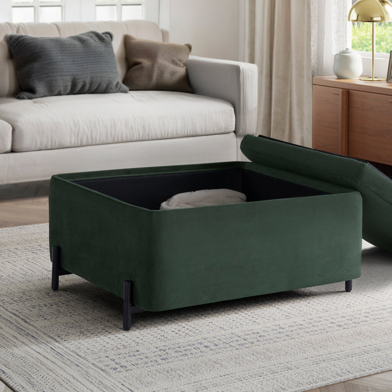 Grand repose-pieds avec rangement 31,1 po Delton, Vert