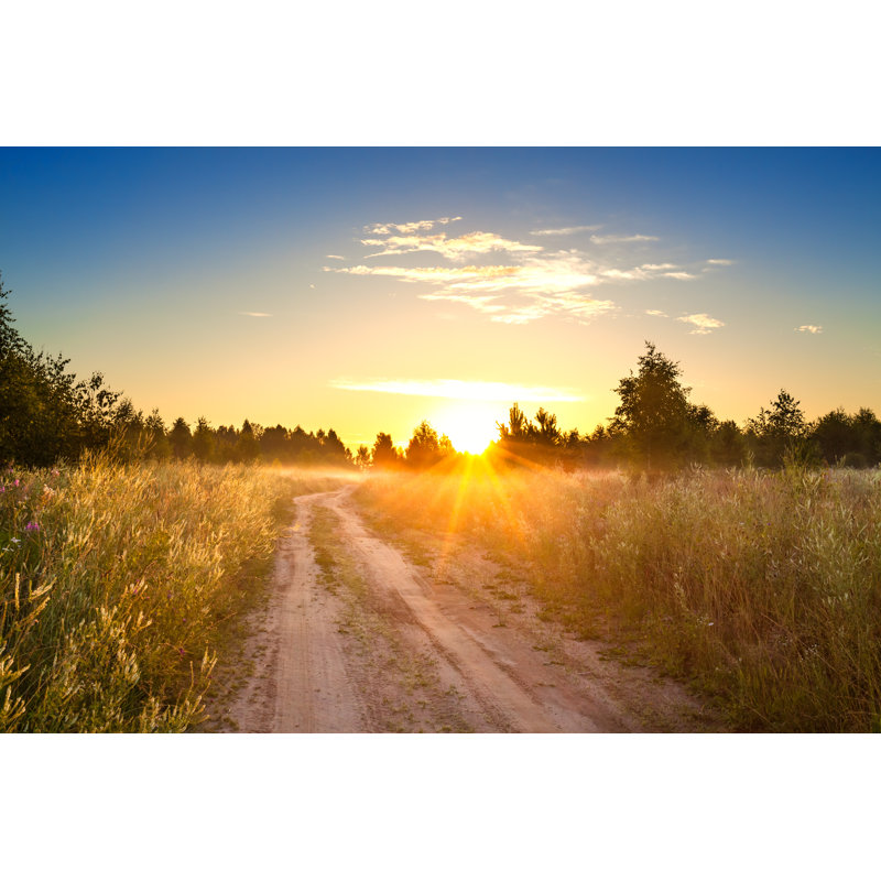 Summer Rural Landscape by Yanikap - Wrapped Canvas Print, 51cm H x 76cm W
