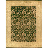 Wool Oriental Area Rug in Beige/Green