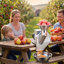 Broyeur à fruits 550W électrique, broyeur de bureau SUS304, broyer des pommes entières jusqu'à 2,76 po de diamètre, 60 kg / h, presse à cidre pour pommes, poires, ananas, goyave, carotte, pomme de terre