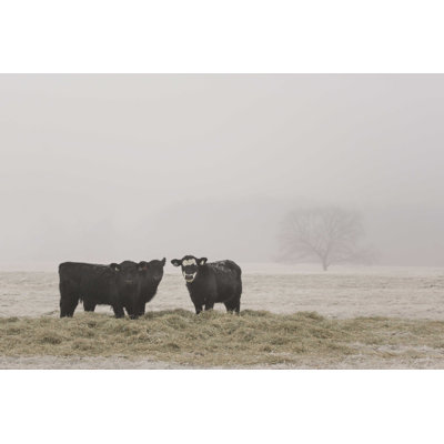 Farm Farm V