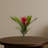 Bromeliad Bush Silk Flowers-24745657