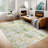 Abstract Machine Washable Area Rug Low Pile Non Slip Modern Rug Foldable Stain Resistant Carpet for Living Room Bedroom Indoor Ultra Thin Mat-863446853