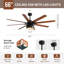 Ventilateur de plafond moderne à pales en contreplaqué de 52 po / 66 po avec ensemble d'éclairage et télécommande intelligente Bartling-1507151457