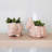 Ardis Handmade Pot Planter