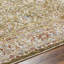 Tapis oriental en polyester tissé à la machine Bower en olive / crème / brun foncé-1234075854