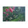 Hummingbird Haven by Collin Bogle - Print on Canvas