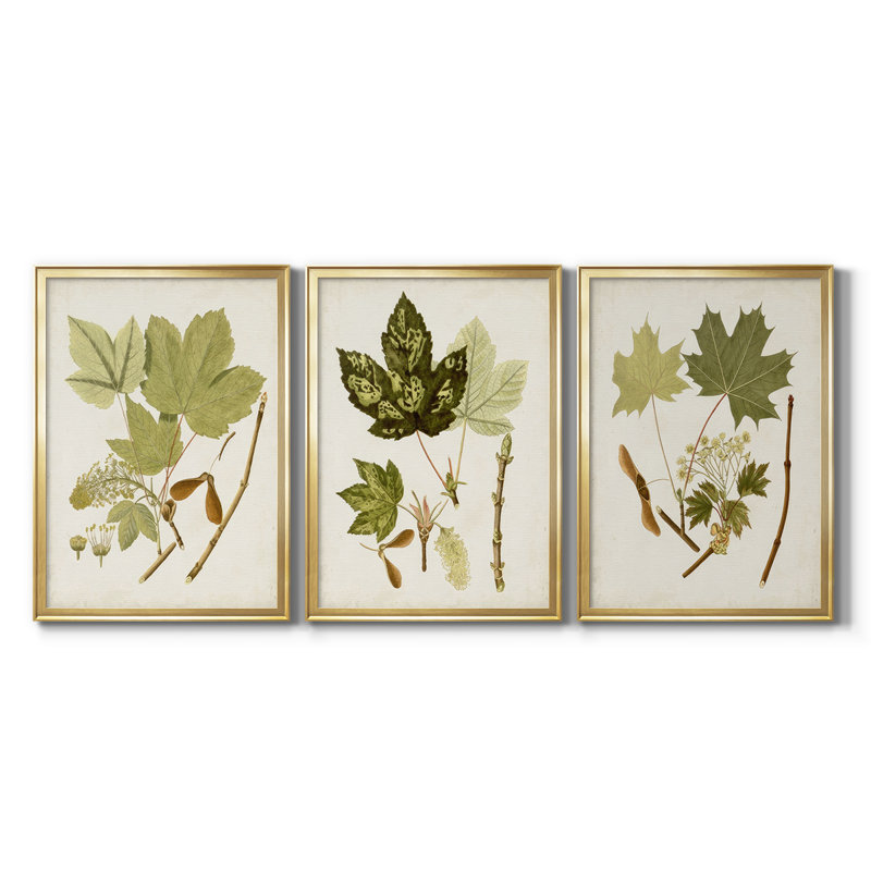 Antique Leaves IV - Toile tendue avec châssis sur mesure - 3 pièces, H 19 po x l 27 po, Doré