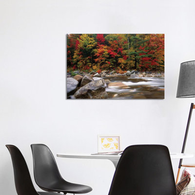 Wild River In Eastern Hardwood Forest, White Mountains National Forest, Maine by Tim Fitzharris - Wrapped Canvas Print