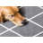 Kortana Geometric Area Rug-247720366
