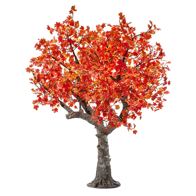 Érable, feuilles et branches éclairées, Rouge