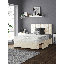 Hedley Upholstered Velvet Headboard-565968386-565968397