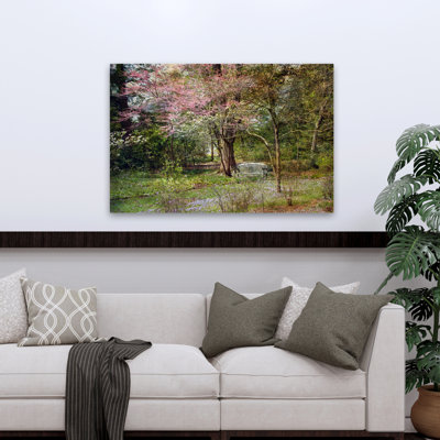 Spring - Landscapes Photography Art