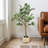 51" Artificial Ficus Tree with Plastic Pot