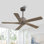 Ventilateur de plafond d'intérieur à 5 pales Baun avec télécommande