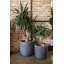 Pot Planter-69453573-69453574