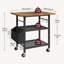 63cm H x 50cm W Printer Stand with Wheels