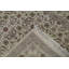 Wool Oriental Area Rug in Beige/Ivory