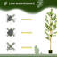 Olive artificielle en pot 6 pi Primrue