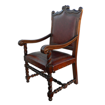 Fauteuil Diego en cuir pleine fleur Diego